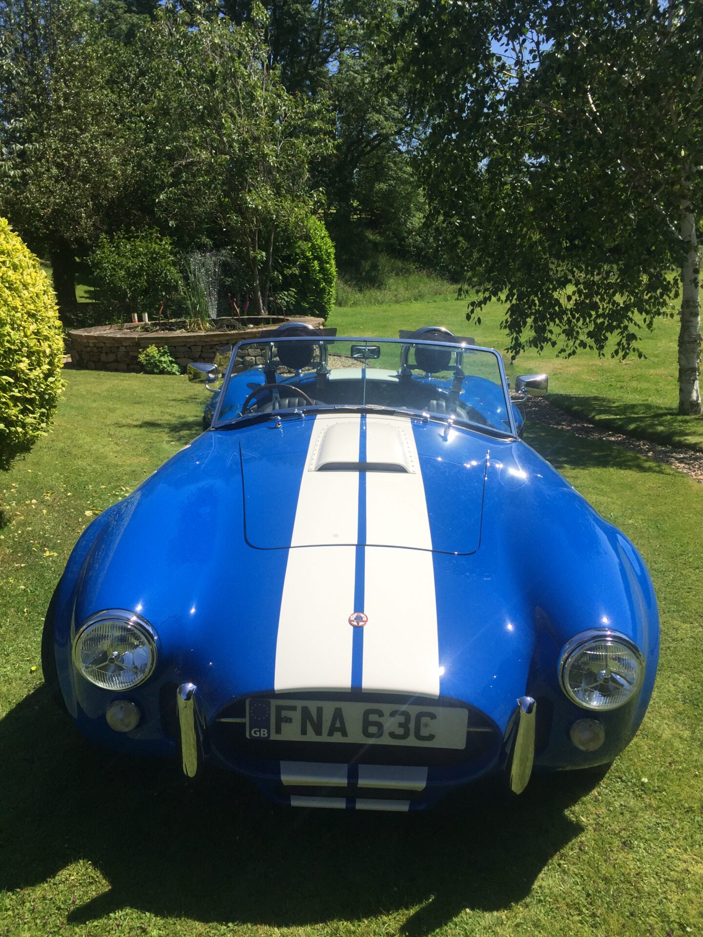 Ford cobra intermediate service and general maintenance